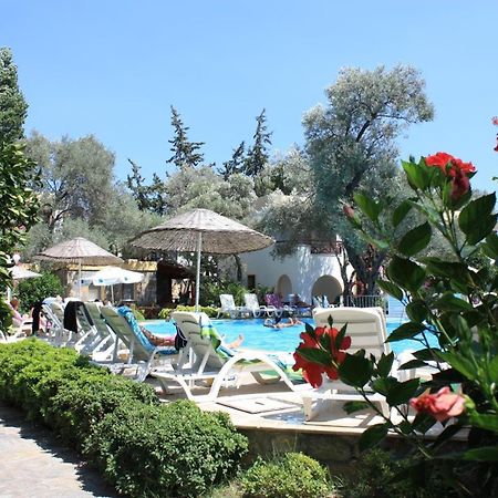 Toloman Bitezpark Apartments Bodrum 외부 사진