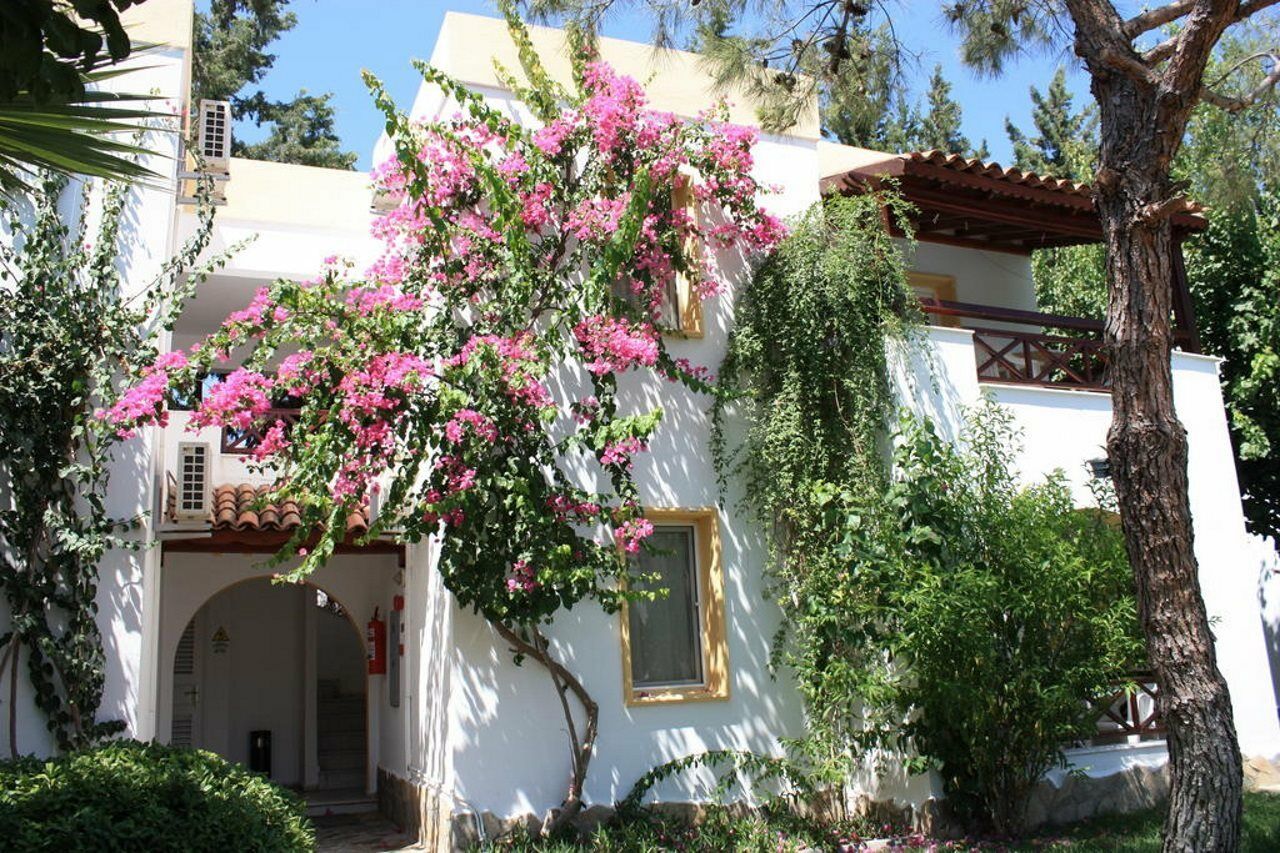 Toloman Bitezpark Apartments Bodrum 외부 사진